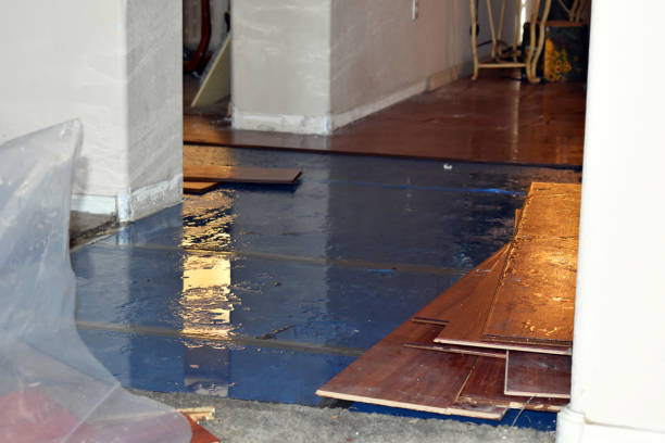 Professional Burst Pipe Cleanup technician working in White Cloud, MI